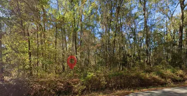 Iamonia Landing Road, TALLAHASSEE, FL 32312