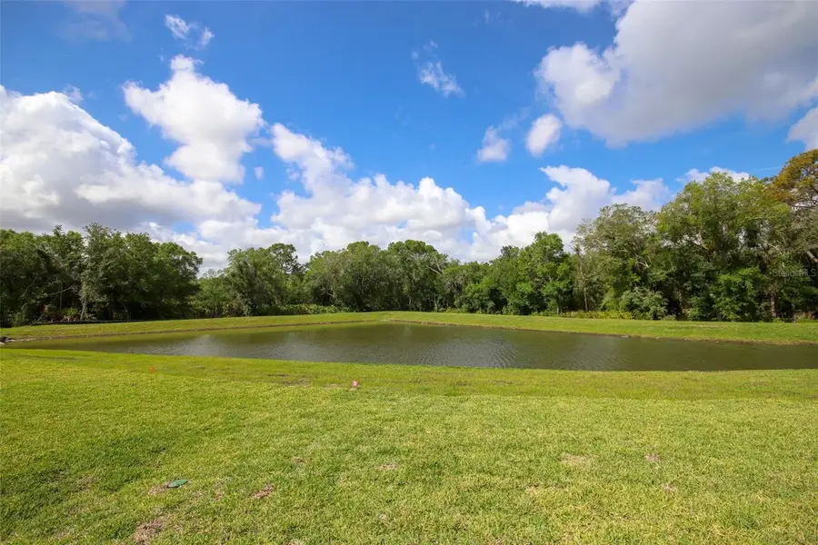 10347 Alder Green Drive, Riverview, FL 33578 - #2