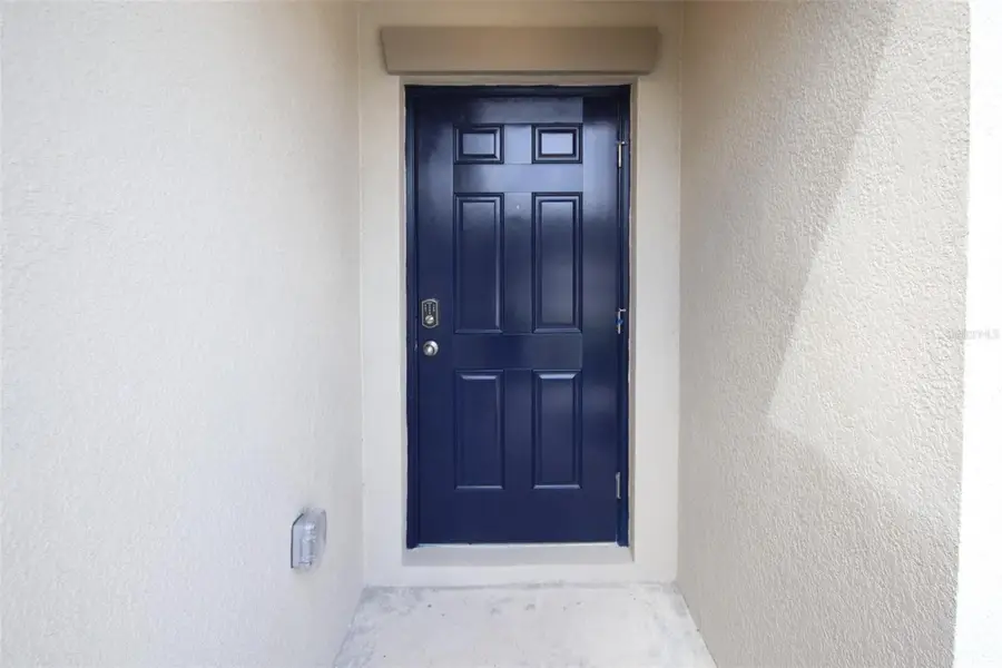 10347 Alder Green Drive, Riverview, FL 33578 - #3