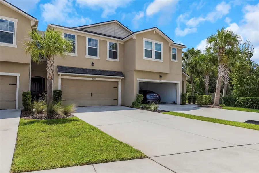 14203 Damselfly Drive, Tampa, FL 33625 - #3