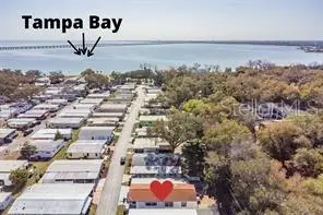585 Sky Harbor Drive #126, Clearwater, FL 33759 - #3