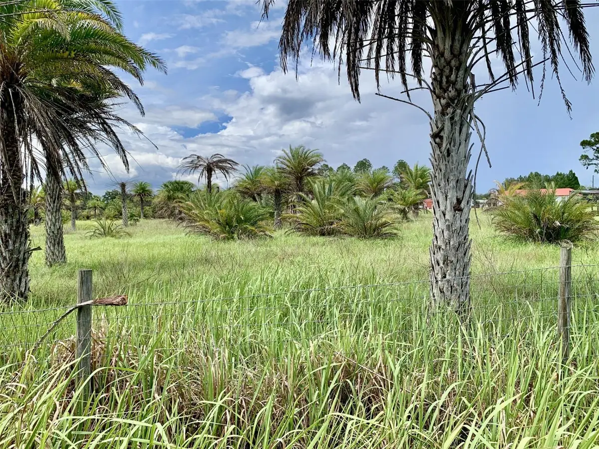 Dan Brown Hill Road, Brooksville, FL 34602 - #1