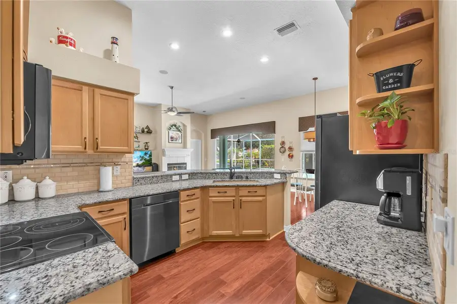 2219 Longmore Circle, Valrico, FL 33596 - #3