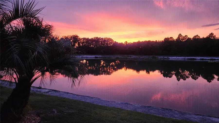 4907 Pointe O Woods Drive, Wesley Chapel, FL 33543 - #2