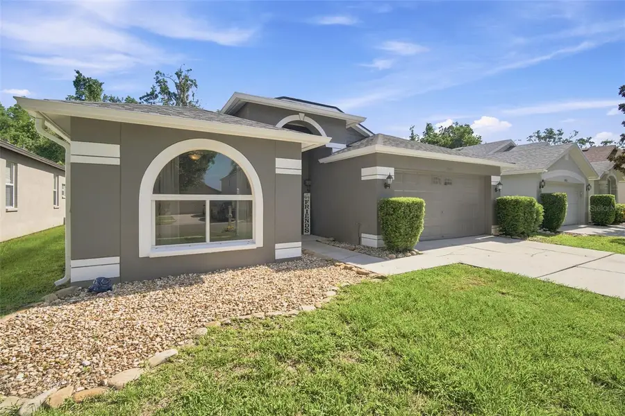 19517 Ardwick Way, Land O Lakes, FL 34638 - #3