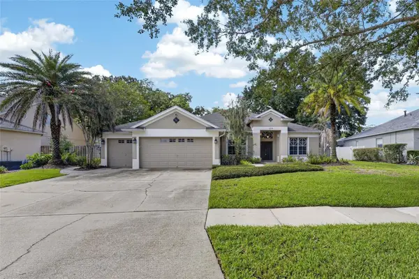 12519 River Birch Drive, RIVERVIEW, FL 33569