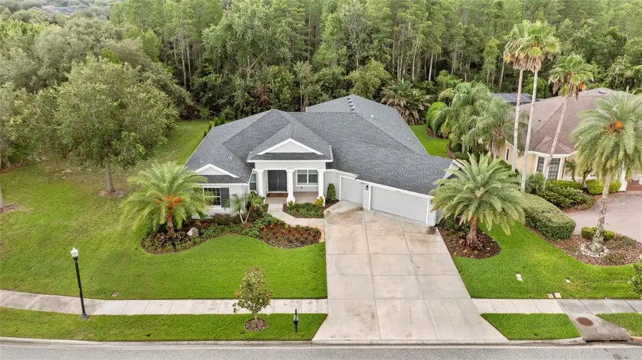 20454 Lace Cascade Rd, Land O Lakes, FL 34637 - #2