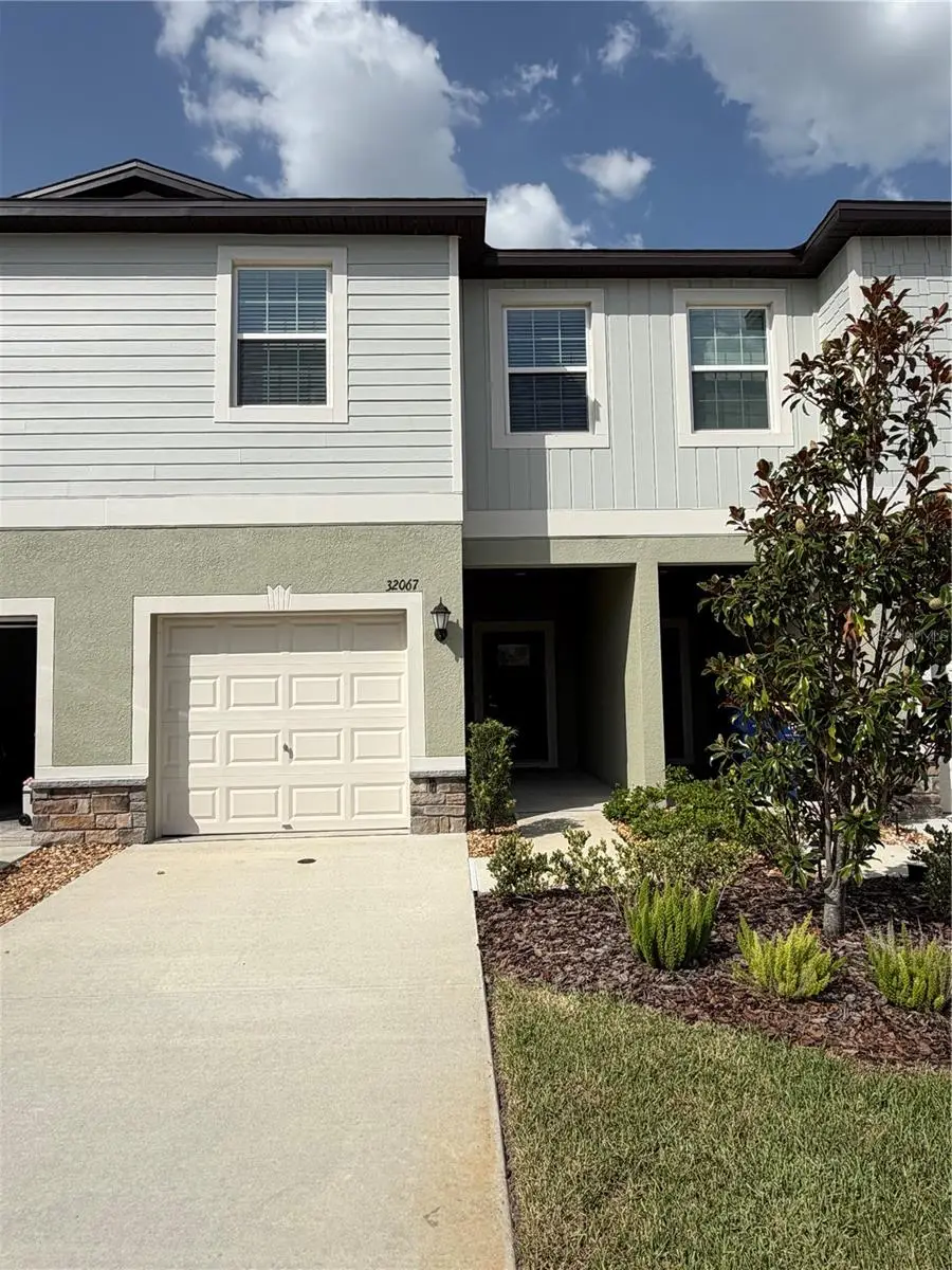32067 Spiceberry Street, San Antonio, FL 33576 - #1