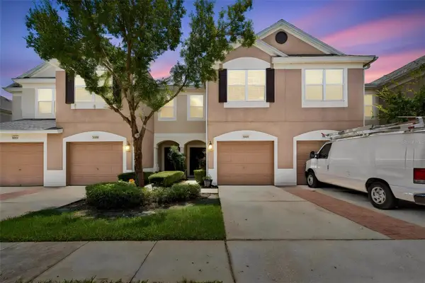 26606 Castleview Way, WESLEY CHAPEL, FL 33544
