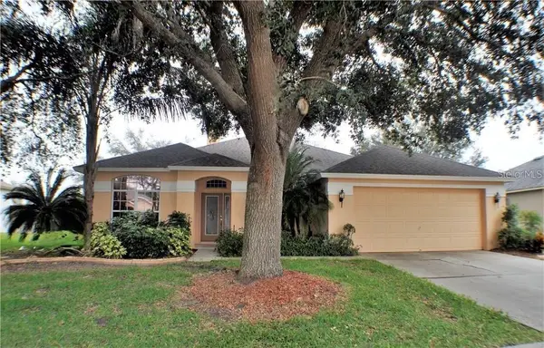 3806 Triple Jump Street, VALRICO, FL 33596