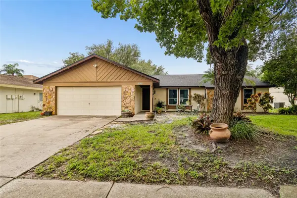 15116 Trail Creek Place, TAMPA, FL 33625