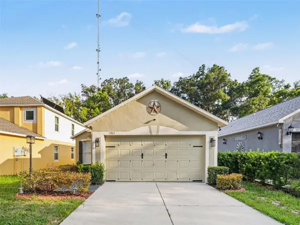 13803 Gentle Woods Avenue, RIVERVIEW, FL 33569