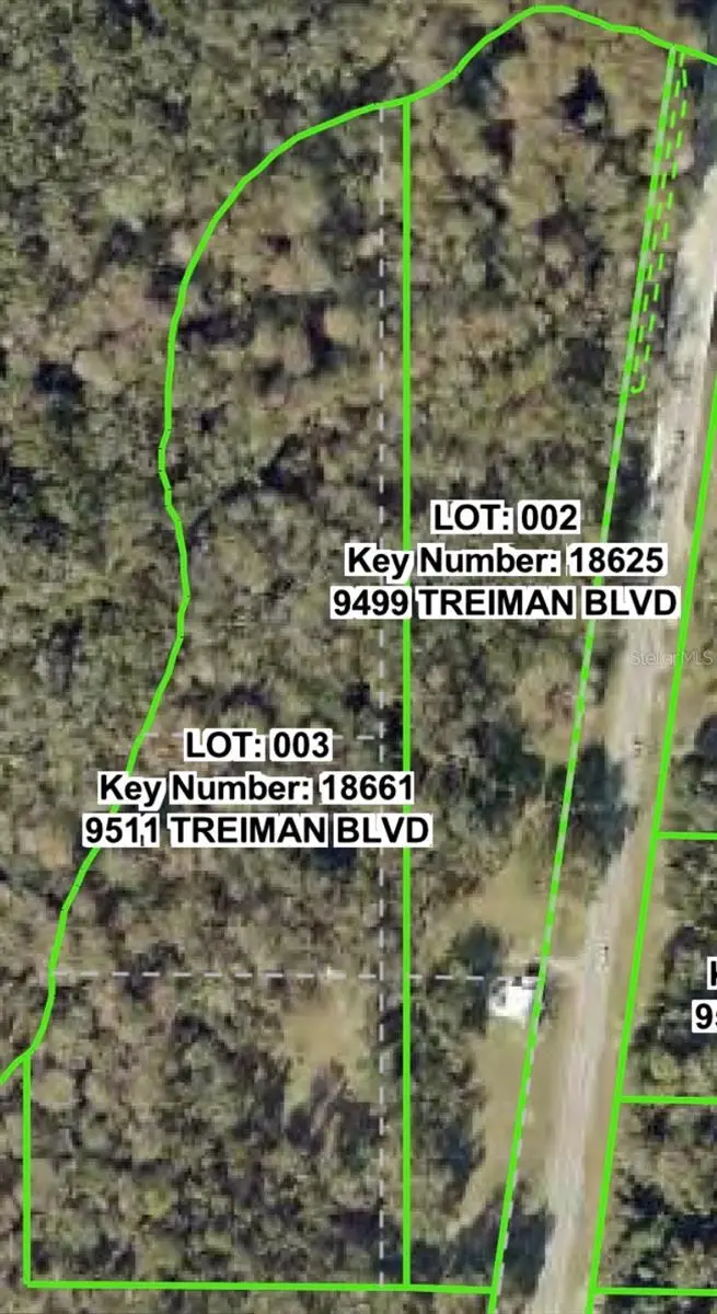 9499 Treiman Boulevard, Webster, FL 33597 - #2