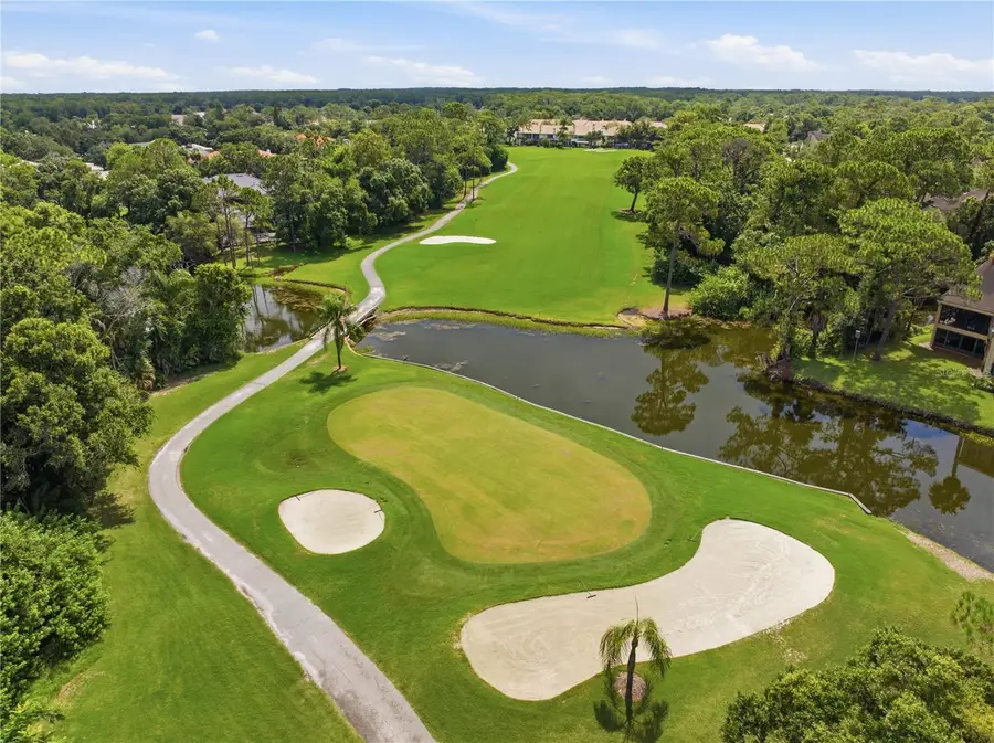 1332 Preservation Way, Oldsmar, FL 34677 - #3