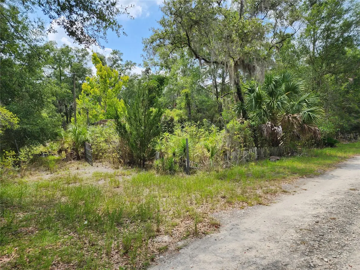 11335 N Ginny Lane Point, Inglis, FL 34449 - #1