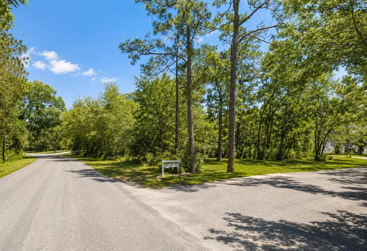Seagrape Street, Homosassa, FL 34446 - #1