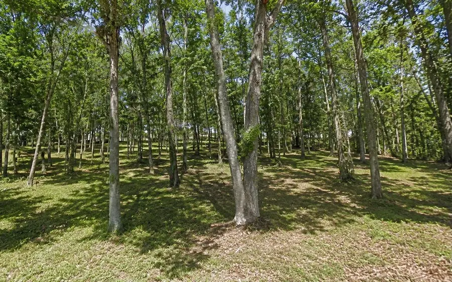 Oakdale Avenue, Brooksville, FL 34601 - #3