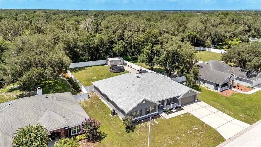 2855 Blackwater Oaks Drive, Mulberry, FL 33860 - #2