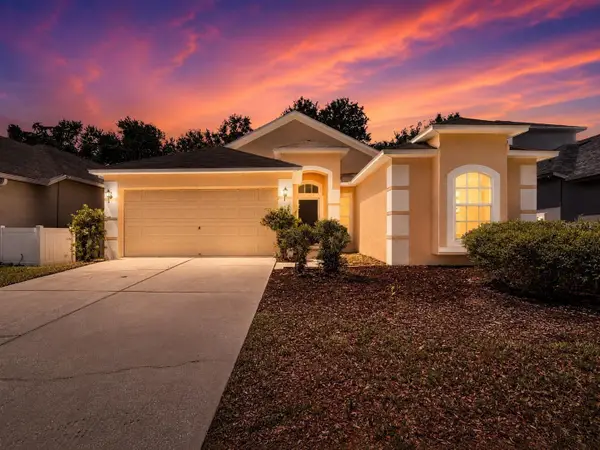 8536 Canterbury Lake Boulevard, TAMPA, FL 33619