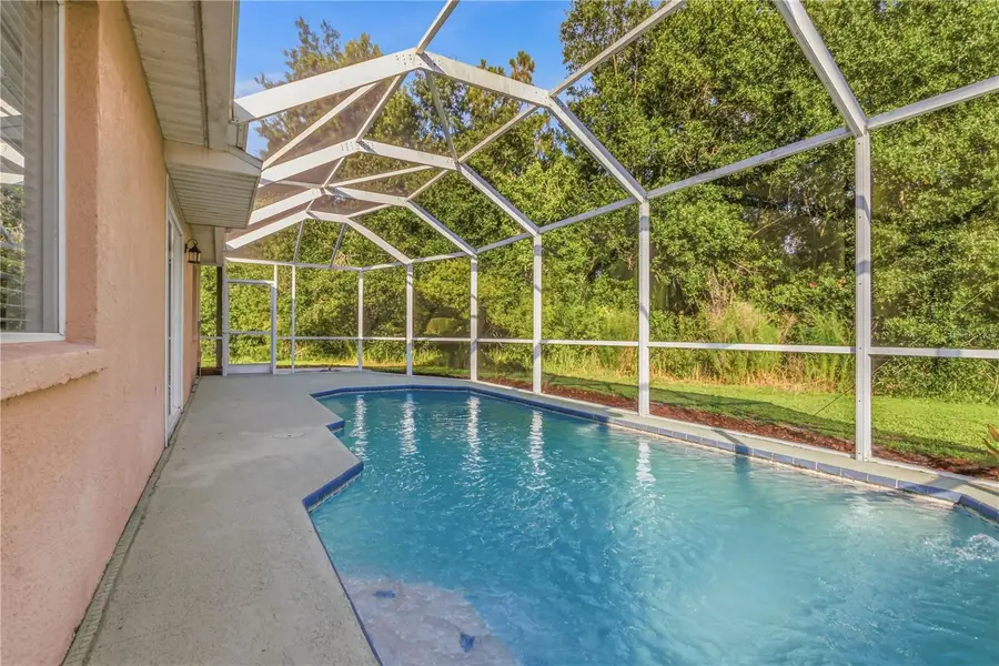 30830 Sade Court, Wesley Chapel, FL 33545 - #2