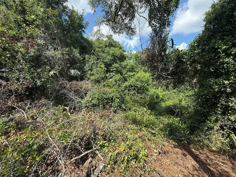 1693 8th Ave, Deland, FL 32724 - #2
