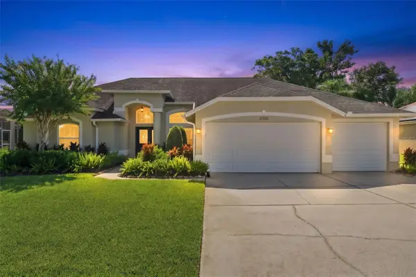 17322 Hubers Court, ODESSA, FL 33556