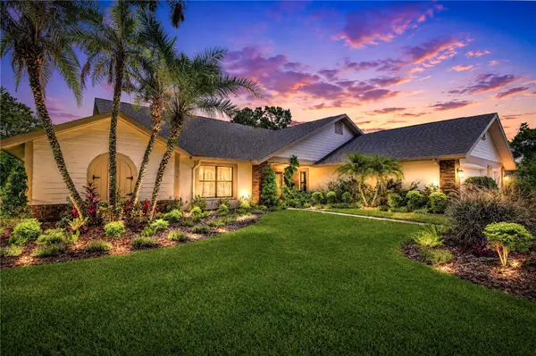 16126 Belle Meade Boulevard, ODESSA, FL 33556