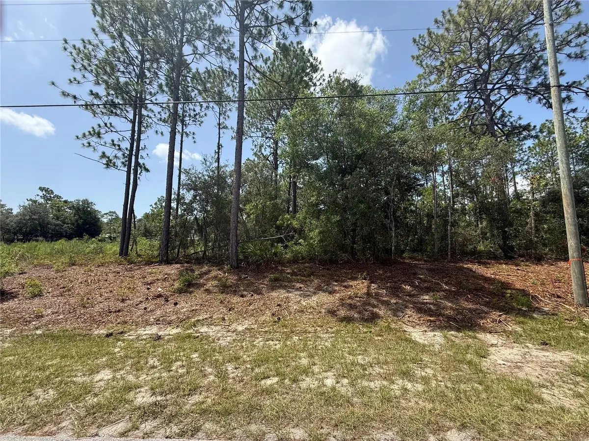 7069 N Santos Drive, Citrus Springs, FL 34434 - #1