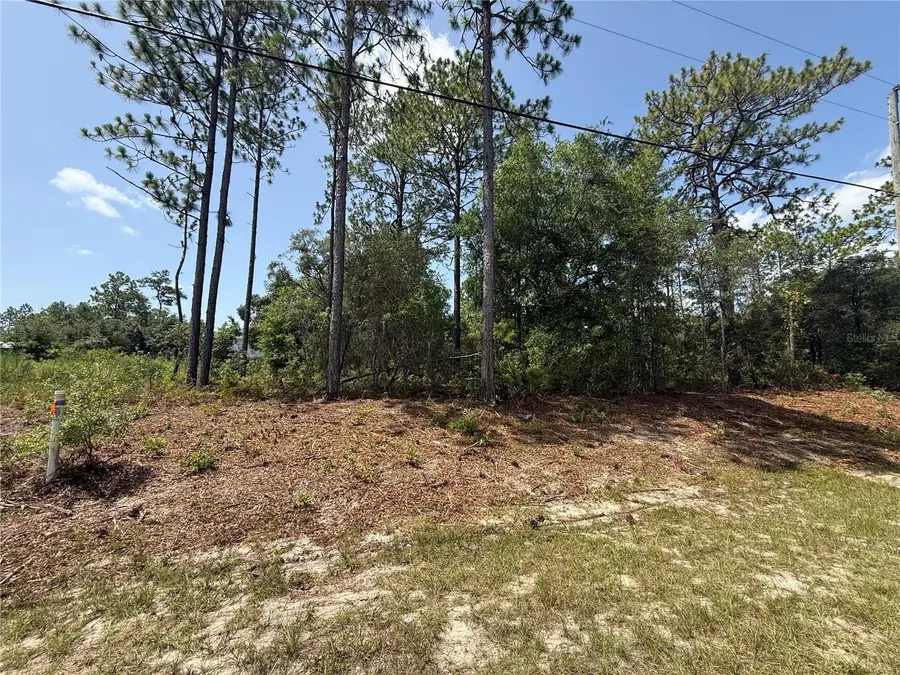 7069 N Santos Drive, Citrus Springs, FL 34434 - #2