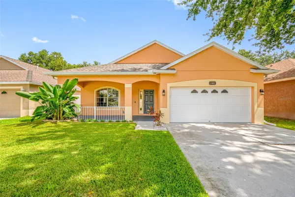 13002 Terrace Springs Drive, TAMPA, FL 33637