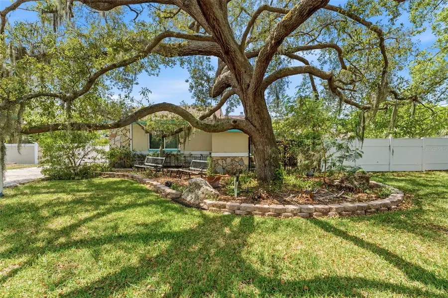 670 Sparrow Avenue, Palm Harbor, FL 34683 - #3