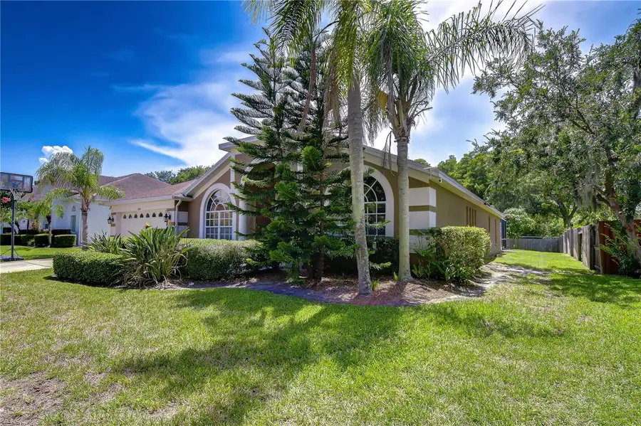 9244 Brindlewood Drive, Odessa, FL 33556 - #2