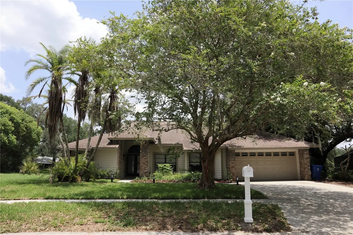 10428 Tara Drive, Riverview, FL 33578 - #1