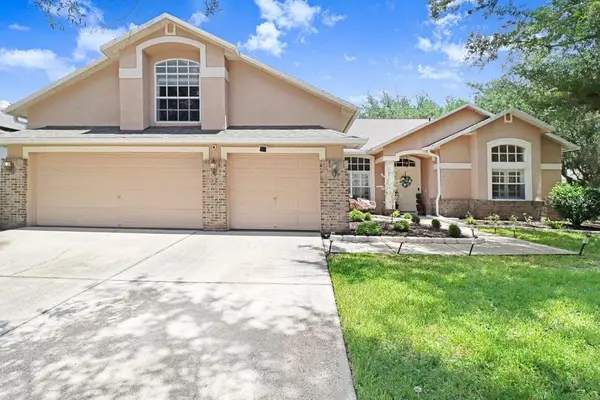 8612 Swann Ridge Ct, TAMPA, FL 33647