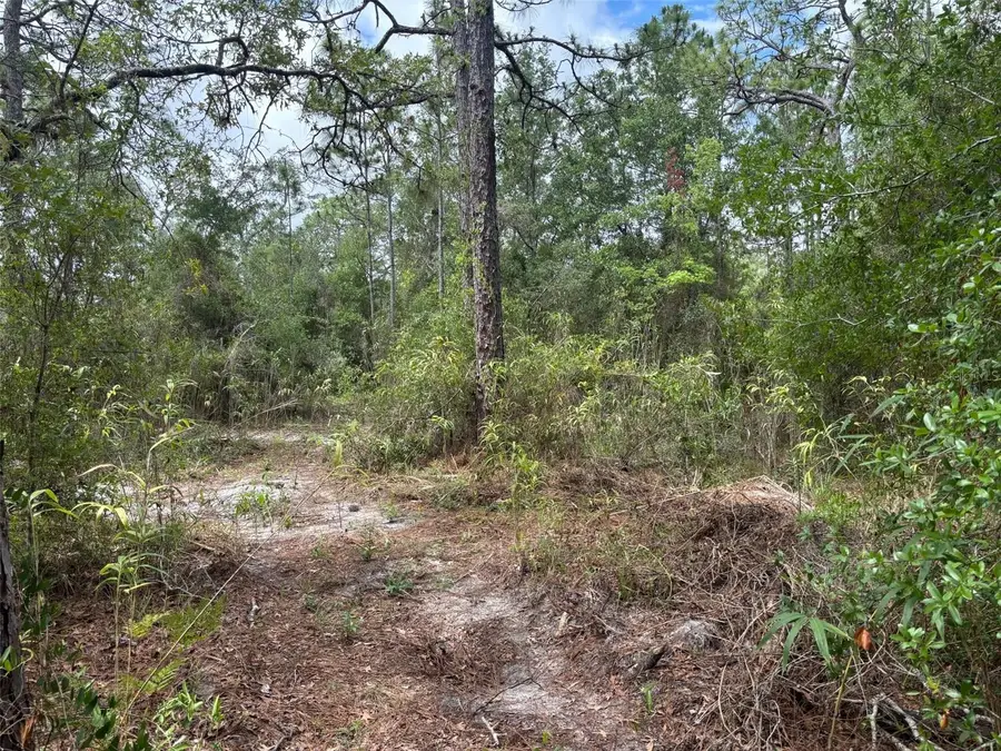 18379 Thomas Boulevard, Hudson, FL 34667 - #2