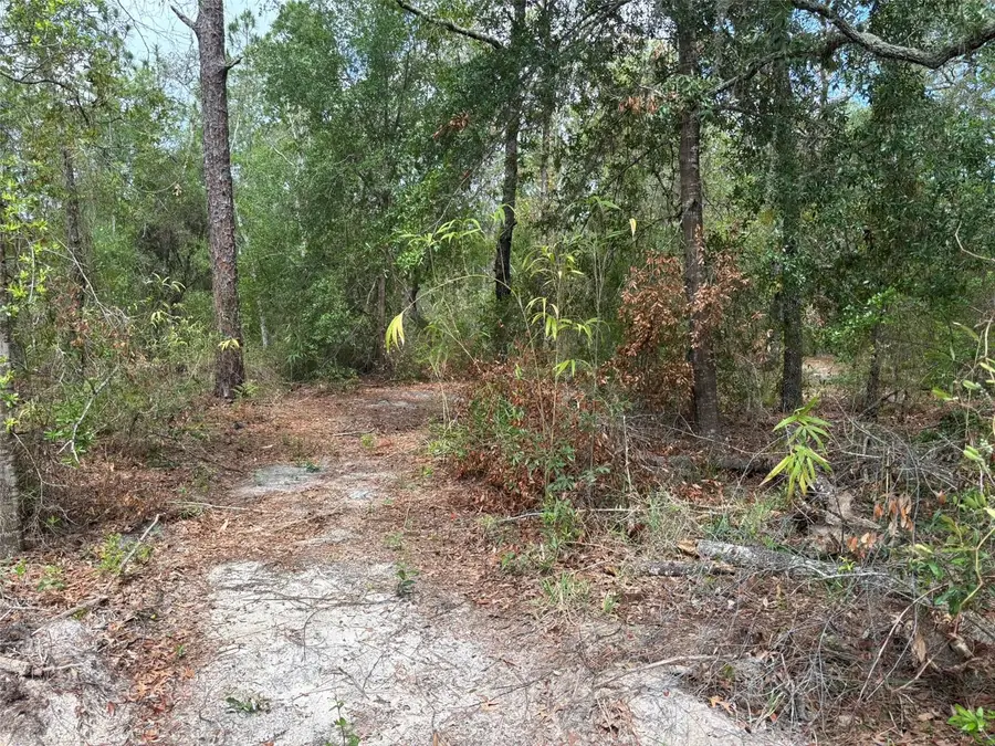 18379 Thomas Boulevard, Hudson, FL 34667 - #3