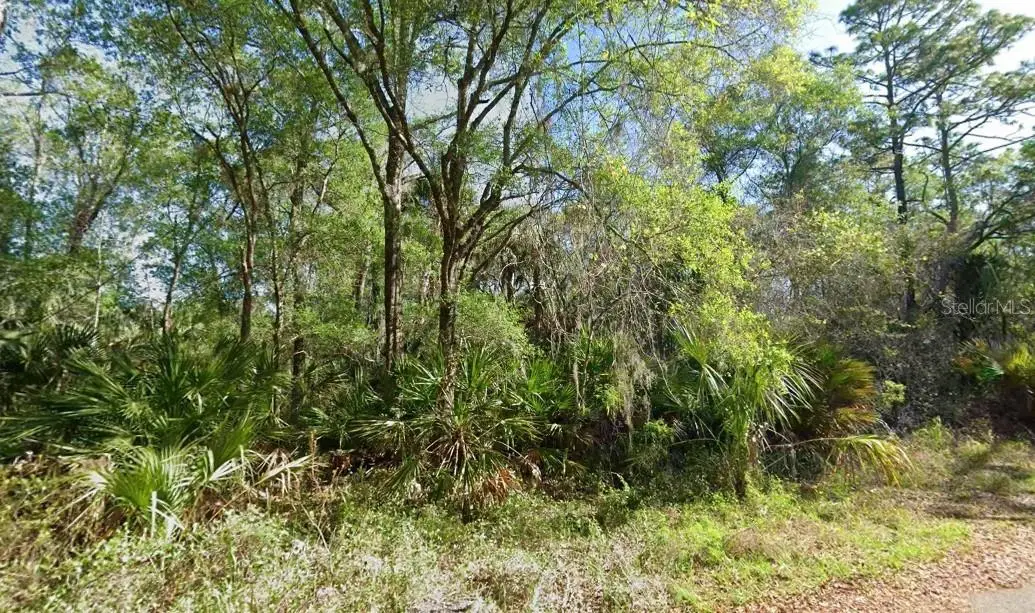 Address Withheld By Seller, Crystal River, FL 34428 - #1