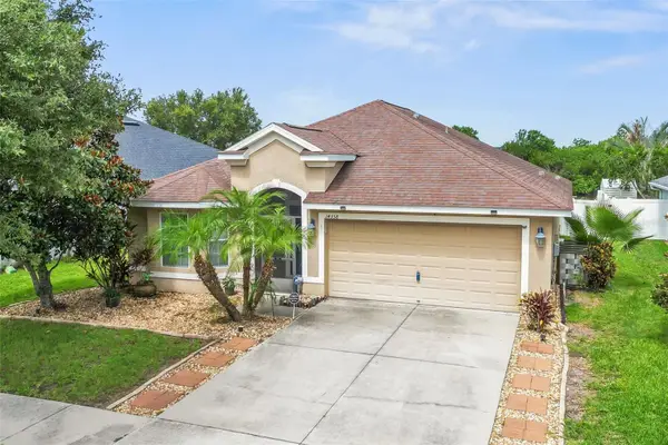 14358 Edinburgh Moor Drive, WIMAUMA, FL 33598