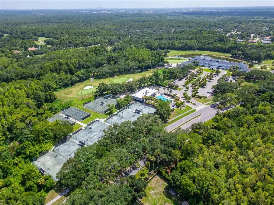 15707 Cochester Road, Tampa, FL 33647 - #2