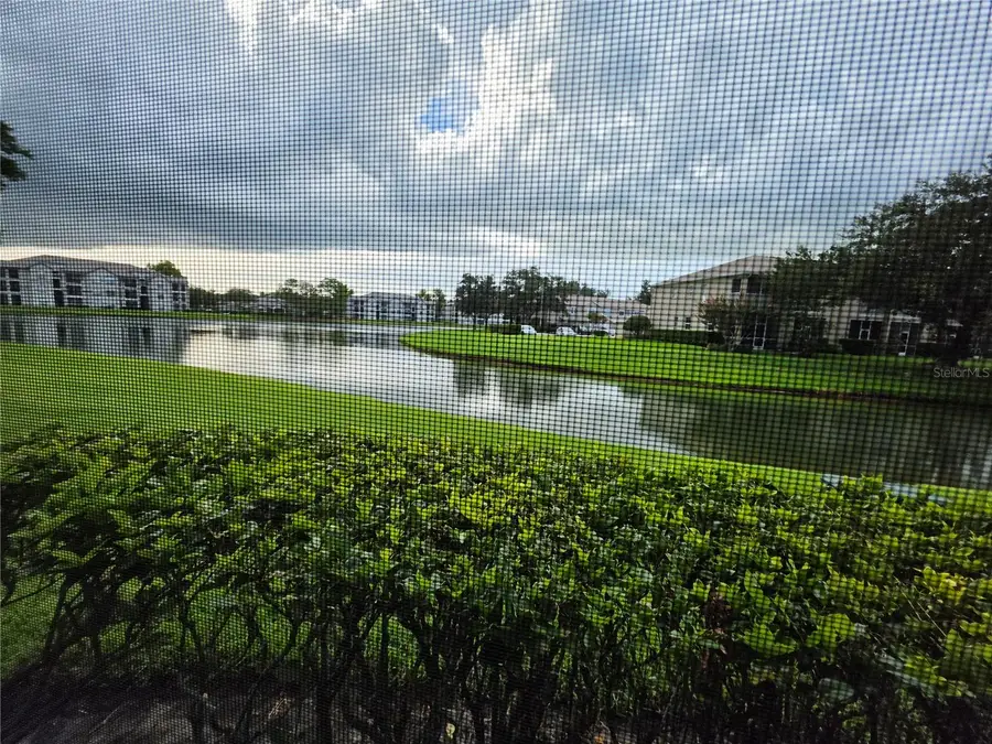 18427 Aintree Court, Tampa, FL 33647 - #2