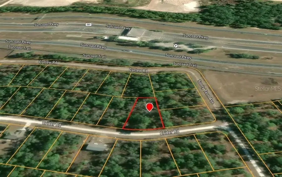 Crider Road, Weeki Wachee, FL 34614 - #3