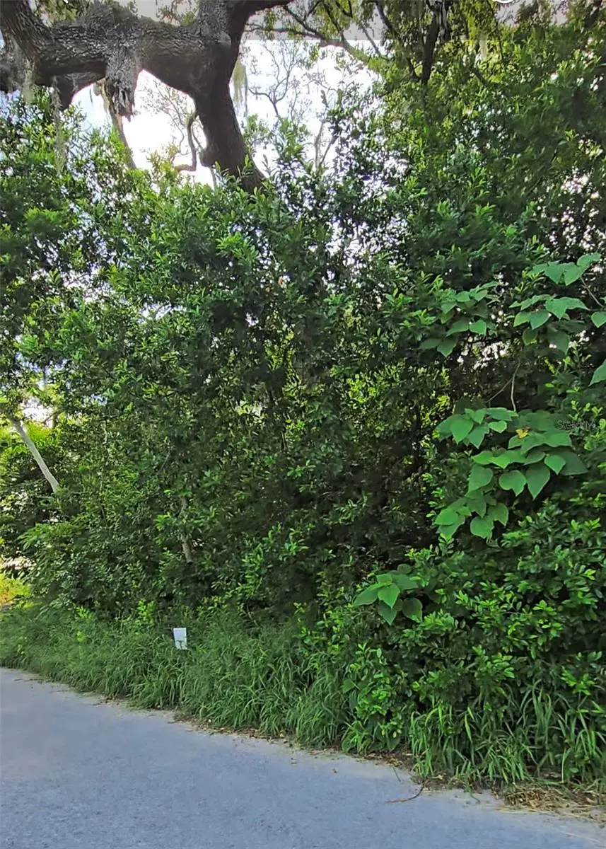 Lenox Drive, New Port Richey, FL 34653 - #3