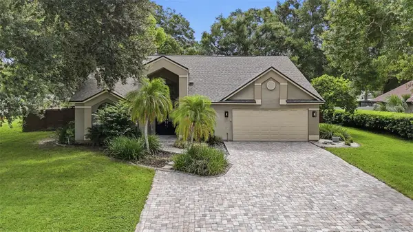 2704 Buckhorn Oaks Drive, VALRICO, FL 33594