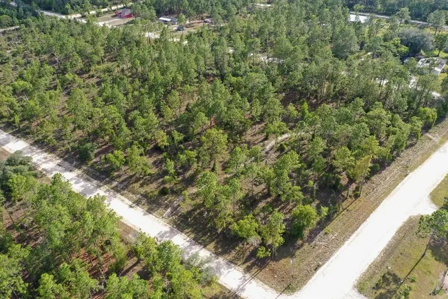 0000 NE 132 Terrace Lot 1 Terrace, Williston, FL 32696 - #3