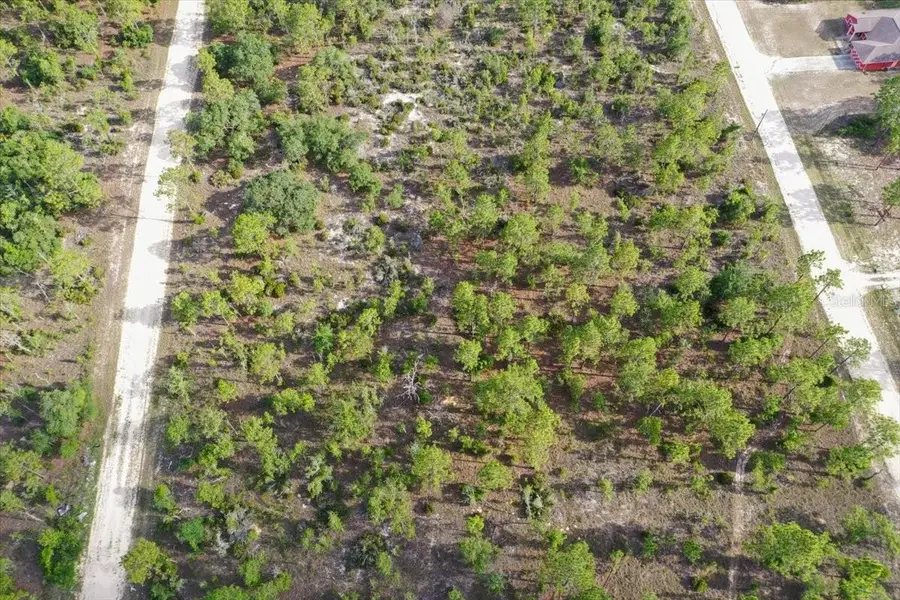 0000 NE 132 Terrace Lot 4 Terrace, Williston, FL 32696 - #2