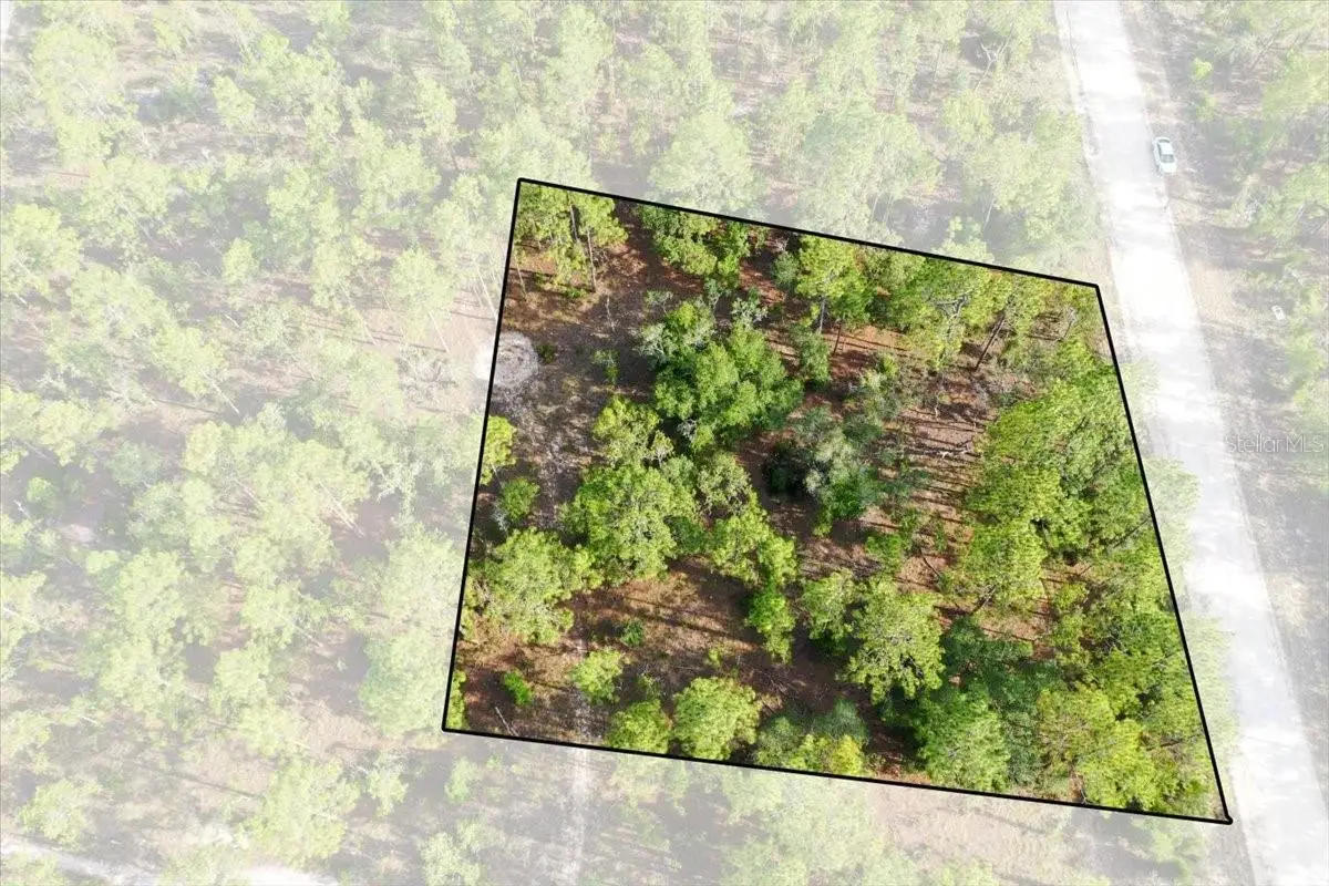 0000 NE 131 Lot 7 Terrace, Williston, FL 32696 - #1