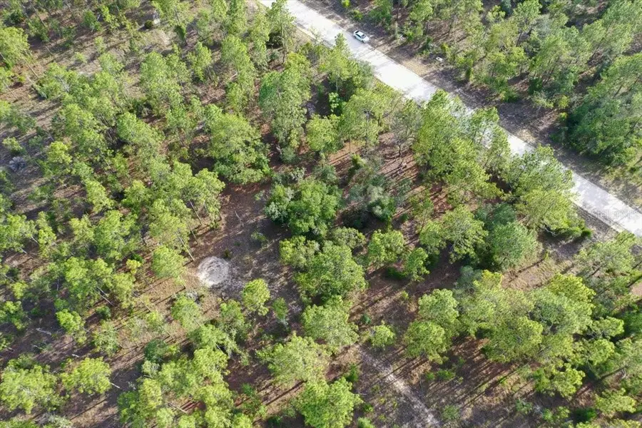 0000 NE 131 Lot 7 Terrace, Williston, FL 32696 - #3