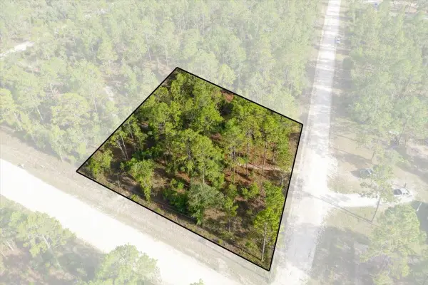 0000 NE 131 Lot 10 Terrace, WILLISTON, FL 32696