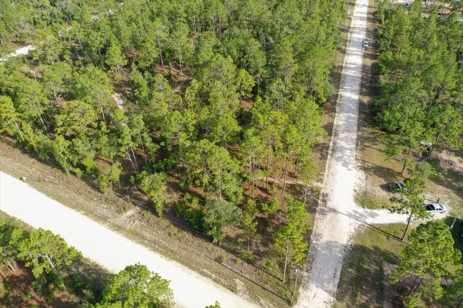 0000 NE 131 Lot 10 Terrace, Williston, FL 32696 - #2