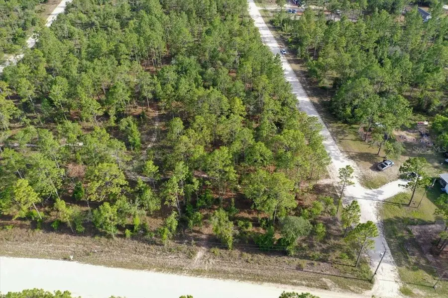 0000 NE 131 Lot 10 Terrace, Williston, FL 32696 - #3